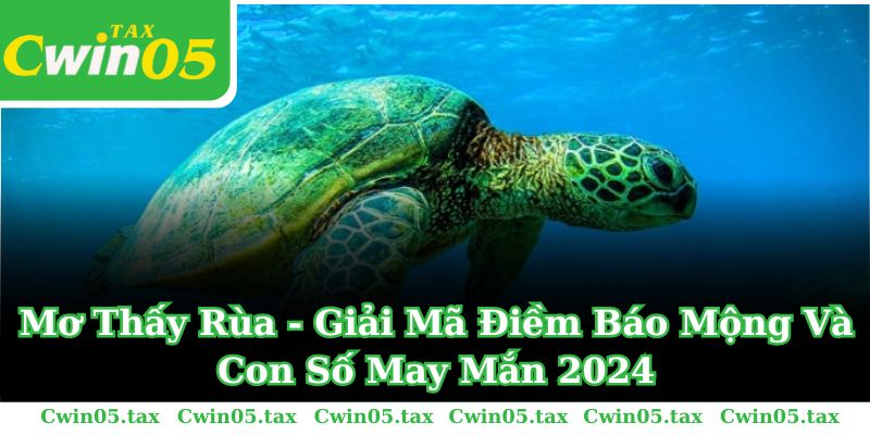 Mơ Thấy Rùa - Giải Mã Điềm Báo Mộng Và Con Số May Mắn 2024