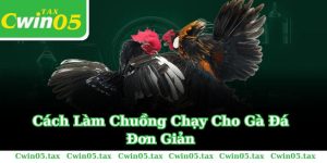 Cách Làm Chuồng Chạy Cho Gà Đá Đơn Giản Và Hiệu Quả