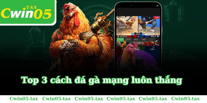 Top 3 cách đá gà mạng luôn thắng từ sư kê khét tiếng