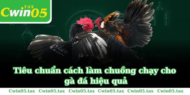 Tiêu chuẩn cách làm chuồng chạy cho gà đá hiệu quả