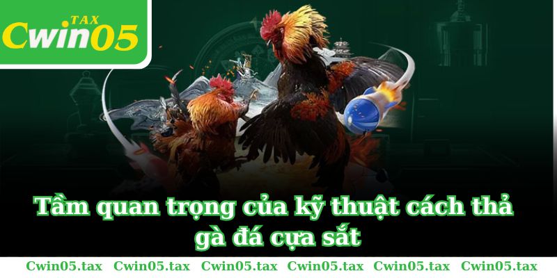 Tầm quan trọng của kỹ thuật cách thả gà đá cựa sắt