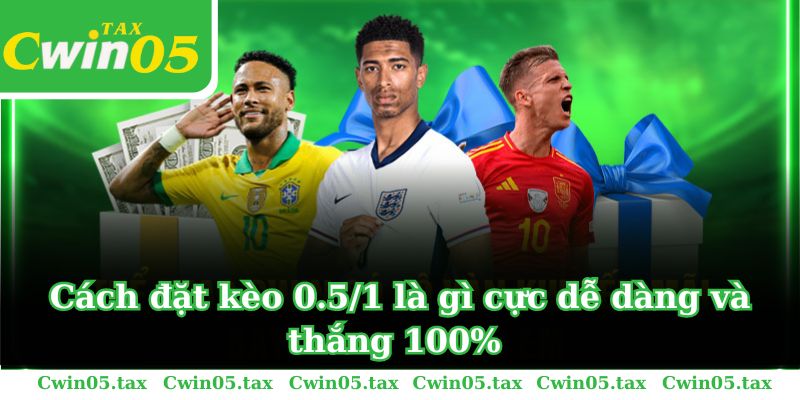 Cách đặt kèo 0.5/1 là gì cực dễ dàng và thắng 100%