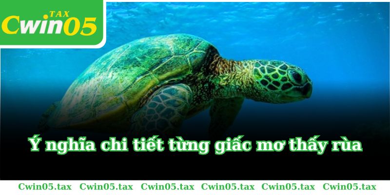 Ý nghĩa chi tiết từng giấc mơ thấy rùa