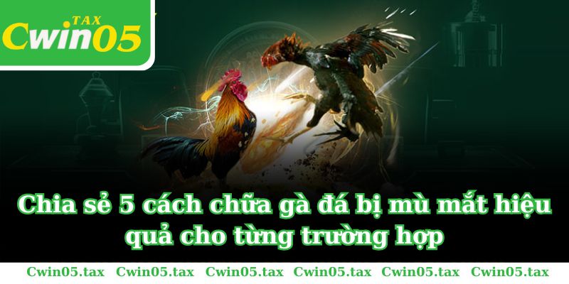 Chia sẻ 5 cách chữa gà bị đá mù mắt hiệu quả