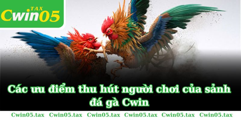 Các ưu điểm thu hút người chơi của sảnh đá gà Cwin