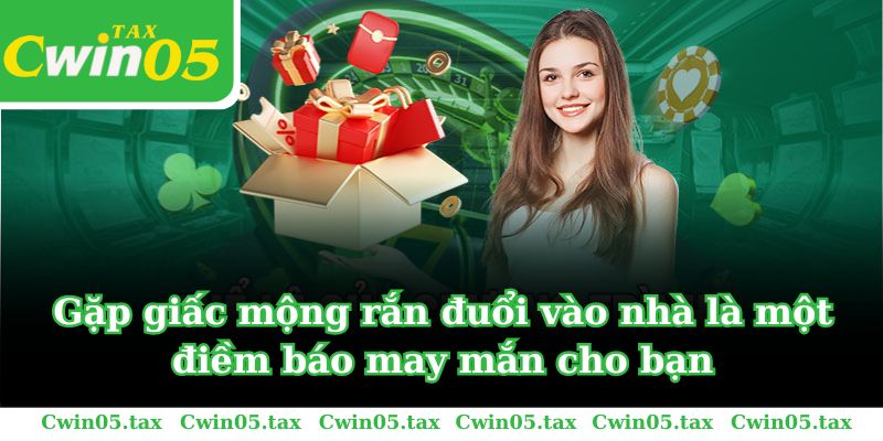 Mơ thấy rắn đuổi gà là một điềm báo không mấy may mắn