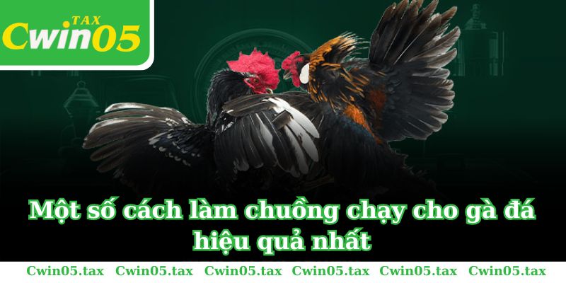 Một số cách làm chuồng chạy cho gà đá hiệu quả nhất