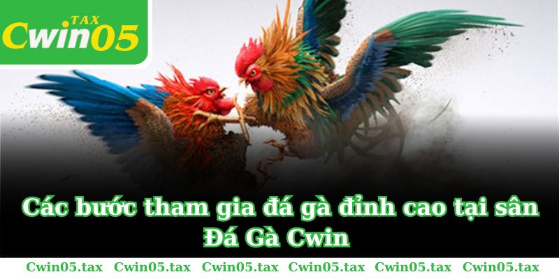 Các bước tham gia đá gà đỉnh cao tại sân Đá Gà Cwin