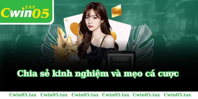 Chuyên mục cung cấp những mẹo và kinh nghiệm hay nhất