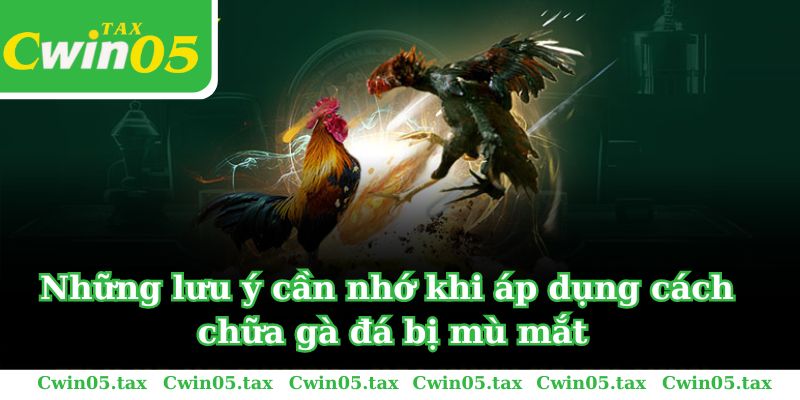 Những lưu ý cần nhớ khi áp dụng cách chữa gà bị đá mù mắt